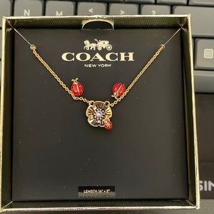 Beautiful Coach Ladybug Earrings and Necklace! ❤️🐞